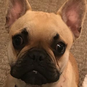 Meet your Posher, Laurie